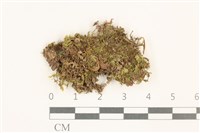 登錄號:B00014061藏品圖，第1張