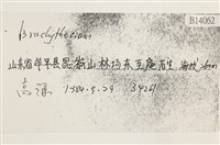 登錄號:B00014062藏品圖，第2張