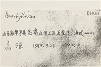 登錄號:B00014063藏品圖，第2張