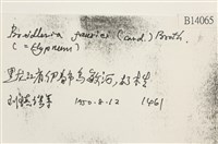 登錄號:B00014065藏品圖，第2張