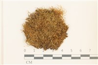 登錄號:B00014065藏品圖，第1張