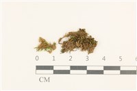 登錄號:B00014070藏品圖，第1張