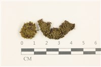 登錄號:B00014072藏品圖，第1張