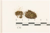 登錄號:B00014073藏品圖，第1張