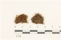 登錄號:B00014076藏品圖，第1張