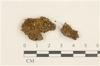 登錄號:B00014080藏品圖，第1張