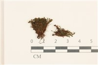 登錄號:B00014083藏品圖，第1張