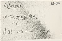 登錄號:B00014087藏品圖，第2張