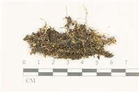 登錄號:B00014087藏品圖，第1張