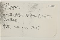 登錄號:B00014088藏品圖，第2張