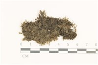 登錄號:B00014088藏品圖，第1張