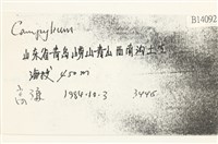 登錄號:B00014092藏品圖，第2張