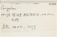 登錄號:B00014096藏品圖，第2張
