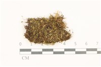 登錄號:B00014098藏品圖，第1張