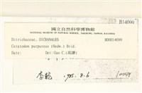 角齒蘚藏品圖，第2張