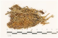 登錄號:B00014101藏品圖，第1張