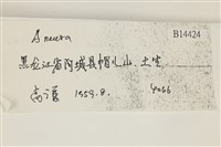 登錄號:B00014424藏品圖，第2張