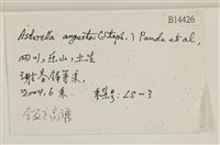 登錄號:B00014426藏品圖，第2張