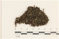 登錄號:B00014426藏品圖，第1張