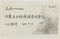 登錄號:B00014429藏品圖，第2張