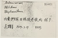 登錄號:B00014431藏品圖，第2張