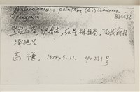 登錄號:B00014432藏品圖，第2張