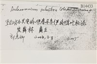 登錄號:B00014433藏品圖，第2張