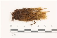 登錄號:B00014433藏品圖，第1張