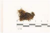 登錄號:B00014434藏品圖，第1張