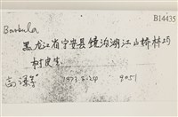 登錄號:B00014435藏品圖，第2張