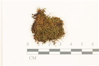 登錄號:B00014435藏品圖，第1張