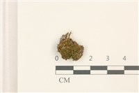 登錄號:B00014436藏品圖，第1張