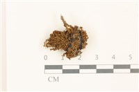 登錄號:B00014439藏品圖，第1張