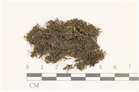 登錄號:B00014442藏品圖，第1張