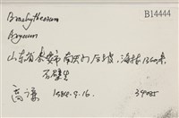 登錄號:B00014444藏品圖，第2張