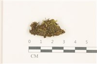 登錄號:B00014444藏品圖，第1張