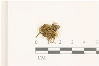 登錄號:B00014447藏品圖，第1張