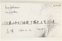 登錄號:B00014448藏品圖，第2張