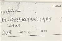 登錄號:B00014449藏品圖，第2張