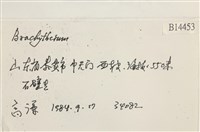 登錄號:B00014453藏品圖，第2張