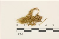 登錄號:B00014453藏品圖，第1張