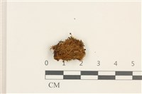 登錄號:B00014454藏品圖，第1張