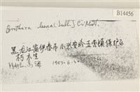 登錄號:B00014456藏品圖，第2張