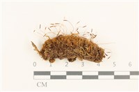 登錄號:B00014456藏品圖，第1張