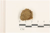 登錄號:B00014459藏品圖，第1張