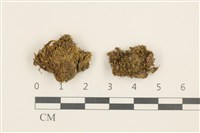 登錄號:B00014460藏品圖，第1張