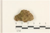 真蘚藏品圖，第1張