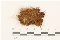 登錄號:B00014462藏品圖，第1張