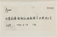 登錄號:B00014463藏品圖，第2張