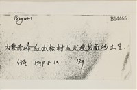 登錄號:B00014465藏品圖，第2張